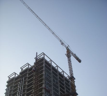 Goede prijs Elektrische 50 Hz zelfklim toren kraan met 12 ton hefvermogen Panel type online